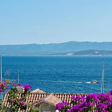 Sea Breeze *